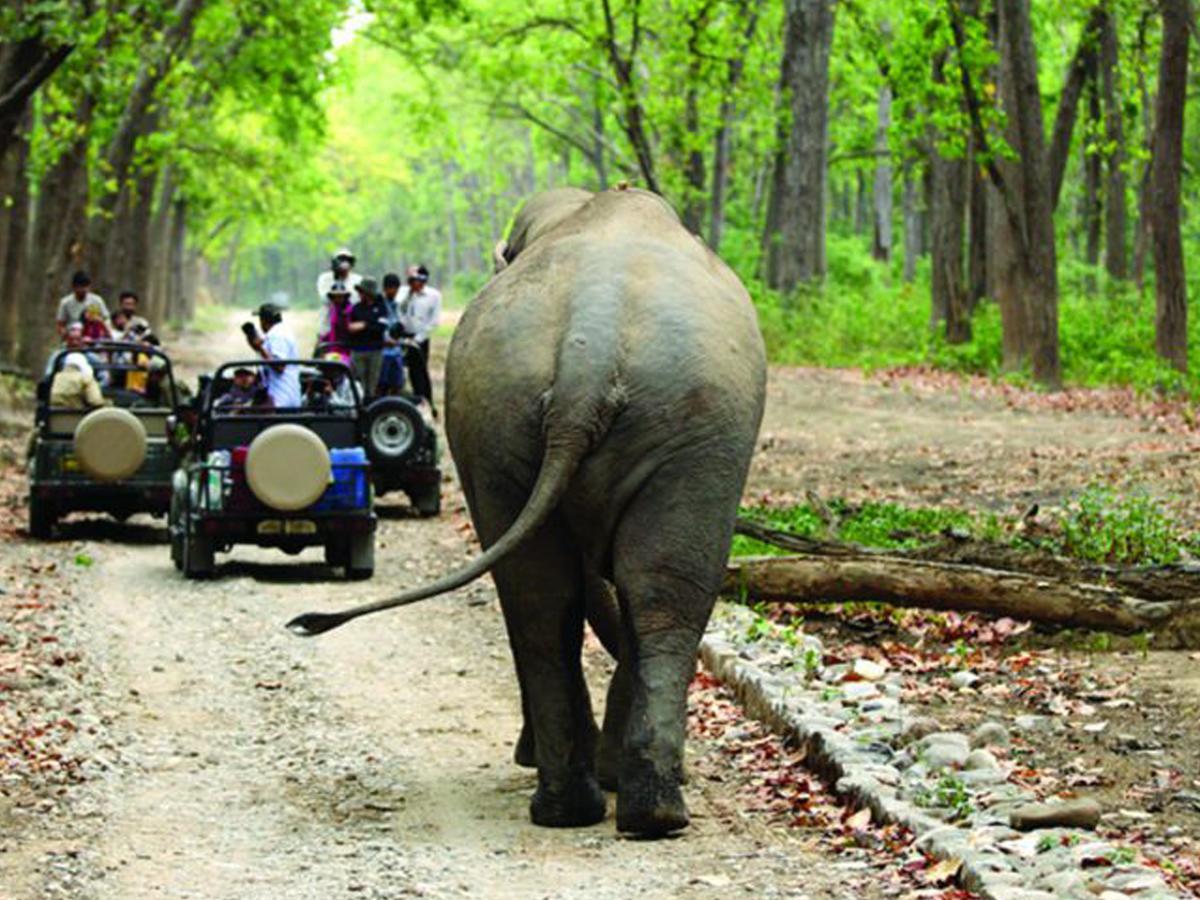 Corbett Treat Resort Ramnagar  Ngoại thất bức ảnh